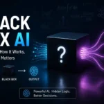 Black Box AI