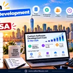 Custom Software Development Cost in the USA
